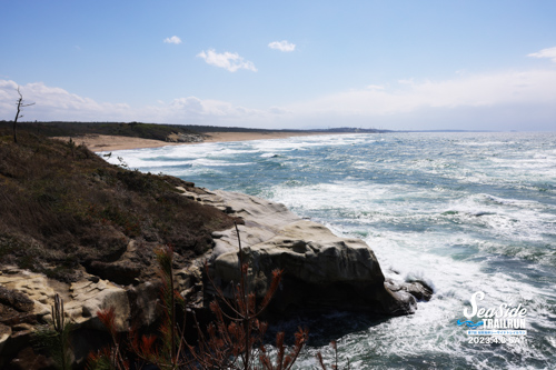 20230408 134436 0000 JO